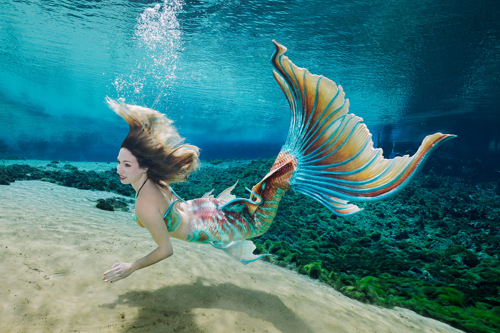 MERMAID DANI